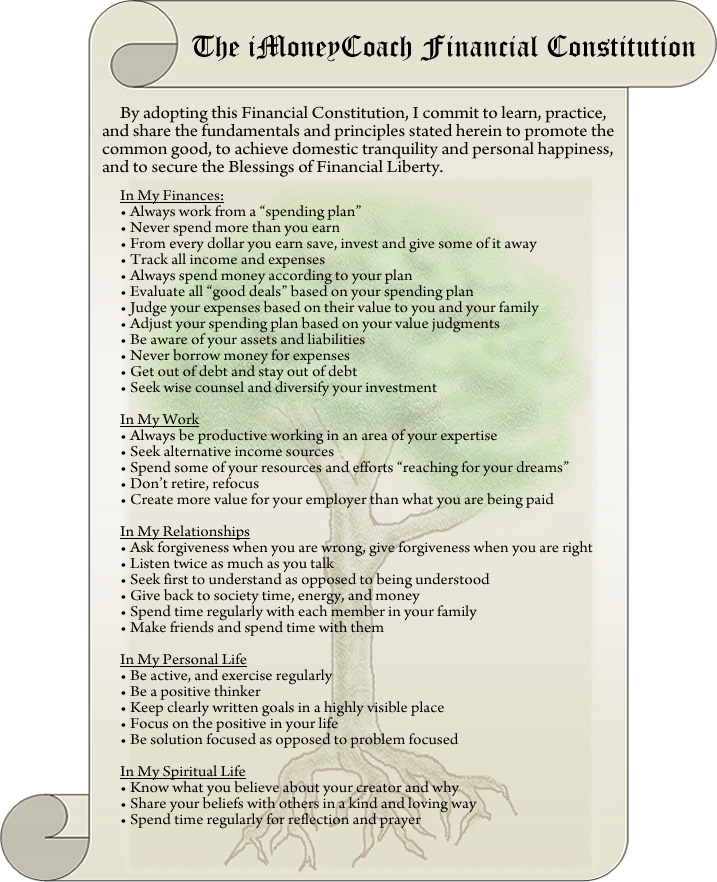 financial constitution